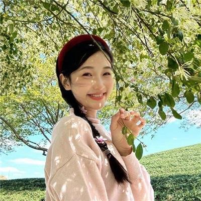 几度菊花香