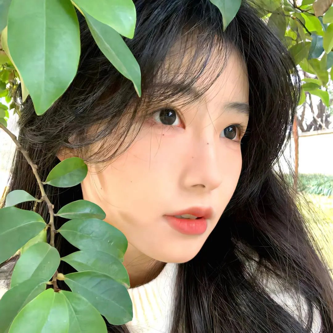 问天录