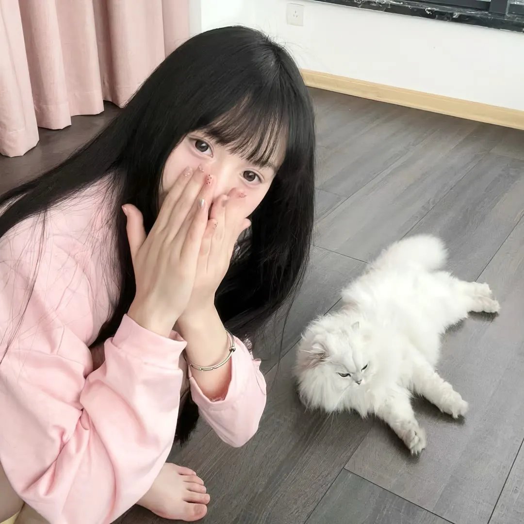 命运航班第四季